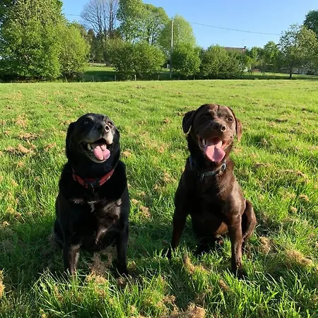 Maison La Touchardiere Hébergement de vacances Barenton