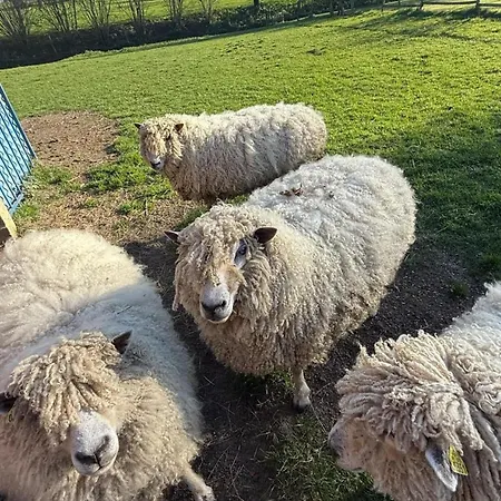 Maison La Touchardiere Barenton