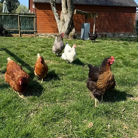 Maison La Touchardiere * Barenton