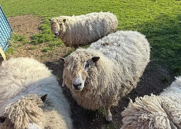 Maison La Touchardiere Barenton